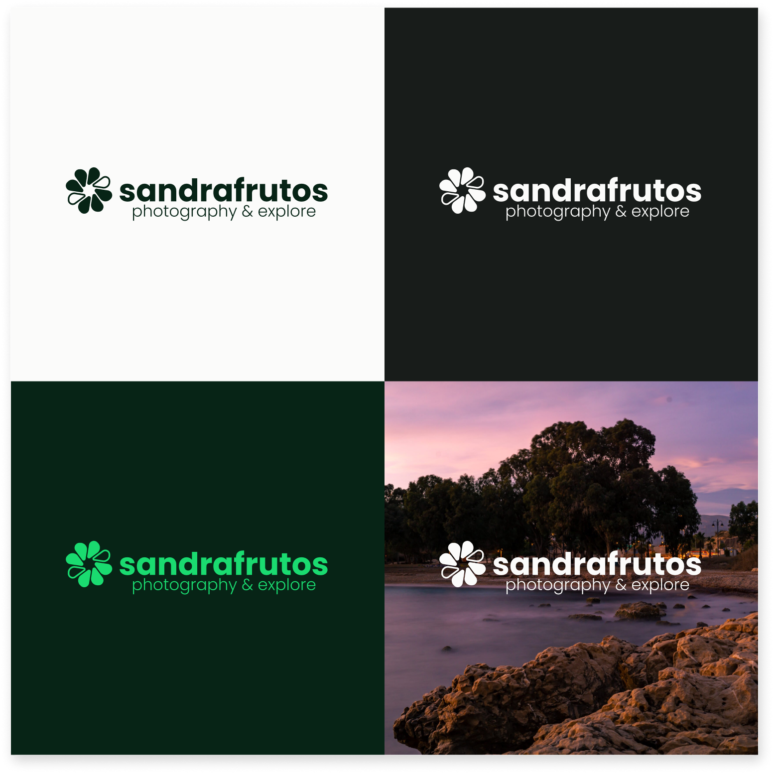 Logotip sandrafrutos
