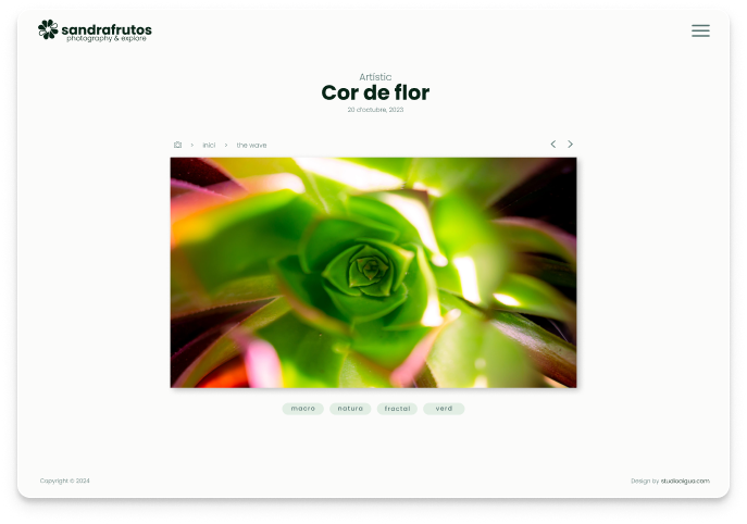 Pàgina web Sandra Photoexplorer home